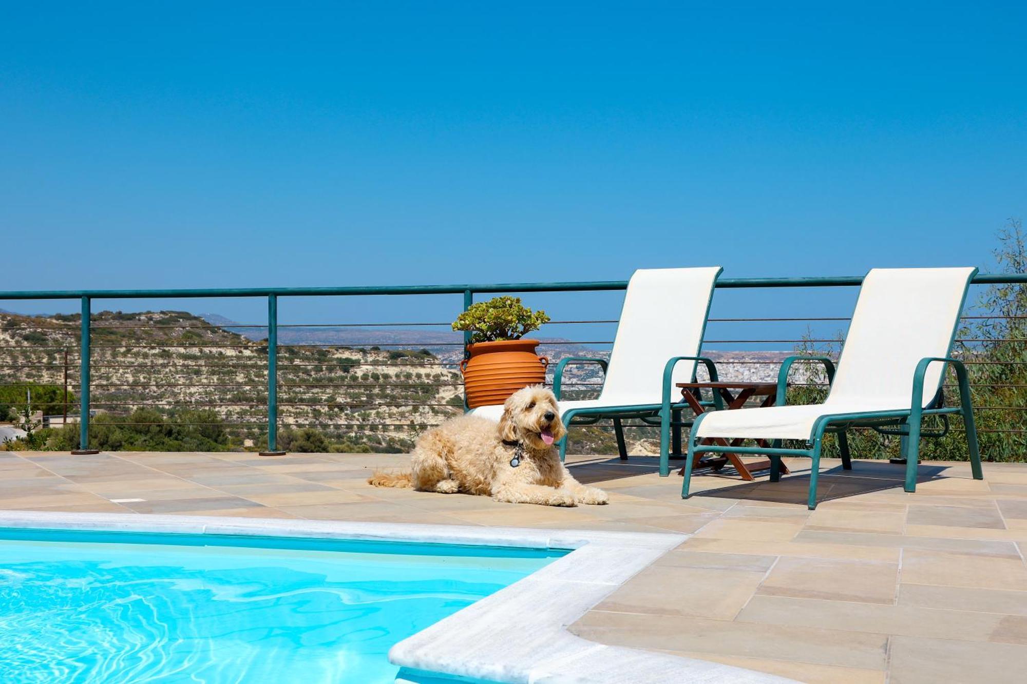 Roussa Village Sitia  Bagian luar foto